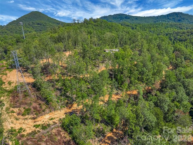 TBD Early Road, Saluda, NC 28773