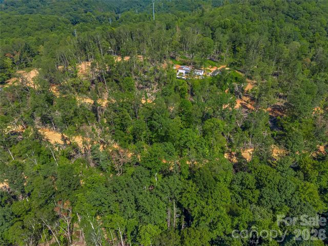TBD Early Road, Saluda, NC 28773