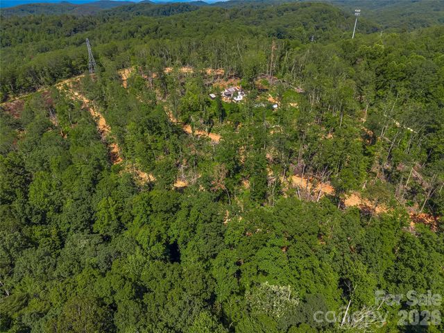 TBD Early Road, Saluda, NC 28773