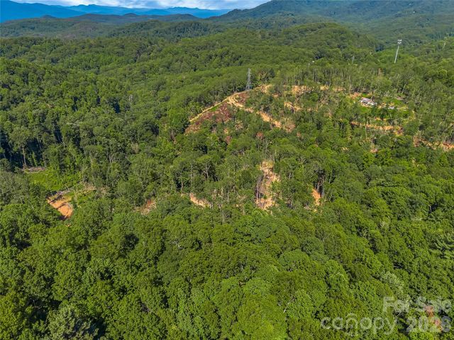 TBD Early Road, Saluda, NC 28773