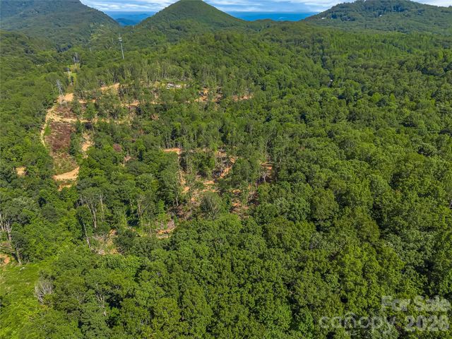 TBD Early Road, Saluda, NC 28773