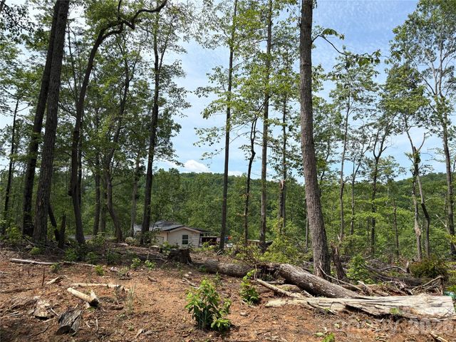 TBD Early Road, Saluda, NC 28773