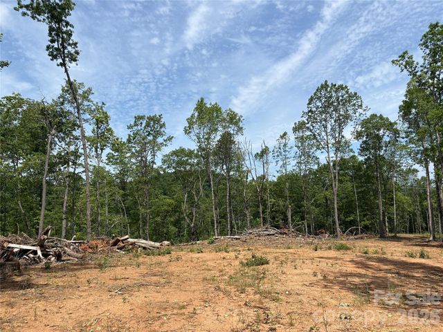 TBD Early Road, Saluda, NC 28773