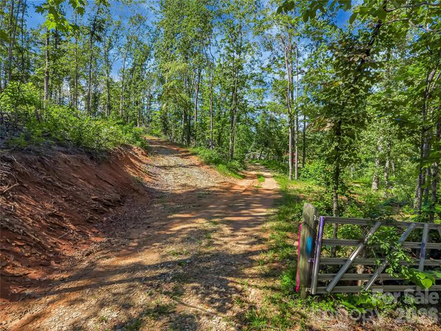 TBD Early Road, Saluda, NC 28773