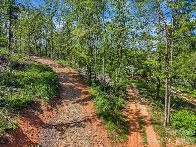 TBD Early Road, Saluda, NC 28773