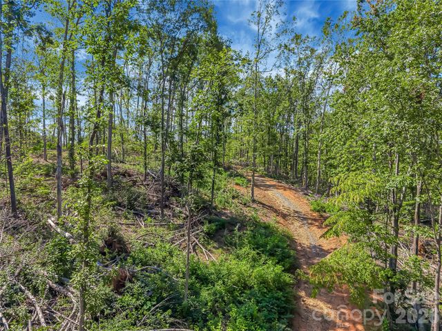 TBD Early Road, Saluda, NC 28773