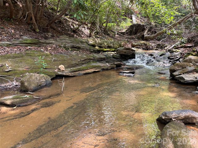TBD Early Road, Saluda, NC 28773
