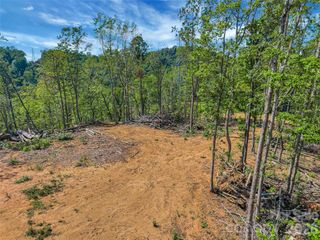 TBD Early Road, Saluda, NC 28773