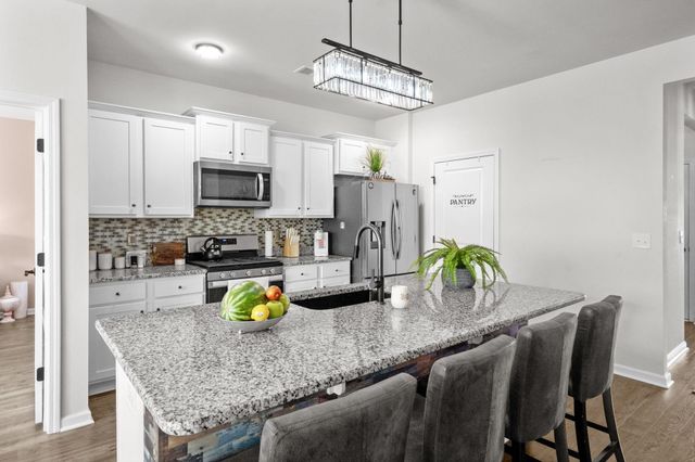 2253 Blackthorn Dr., Conway, SC 29526