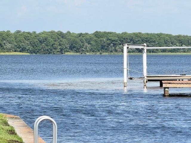 264 PHILADELPHIA BOULEVARD 51, Palm Harbor, FL 34684