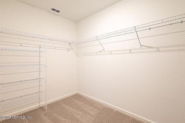 2181 WINDWARD CAY Lane, Middleburg, FL 32068