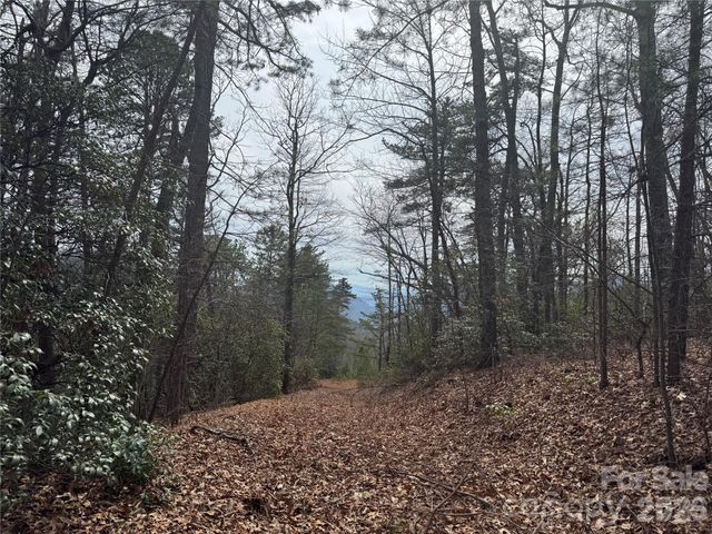 850 Harmonys Edge Drive 850, Old Fort, NC 28762