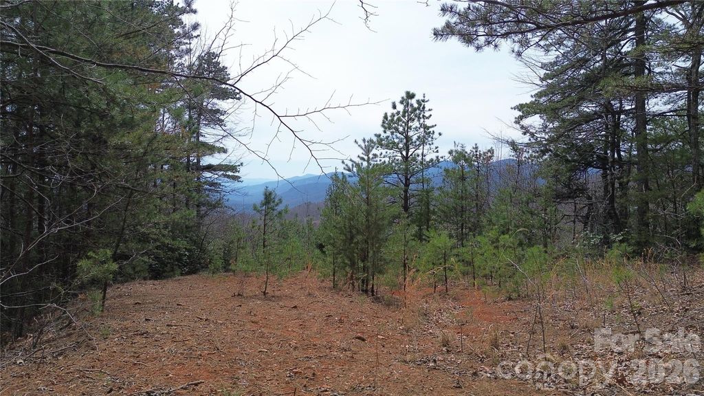 850 Harmonys Edge Drive 850, Old Fort, NC 28762