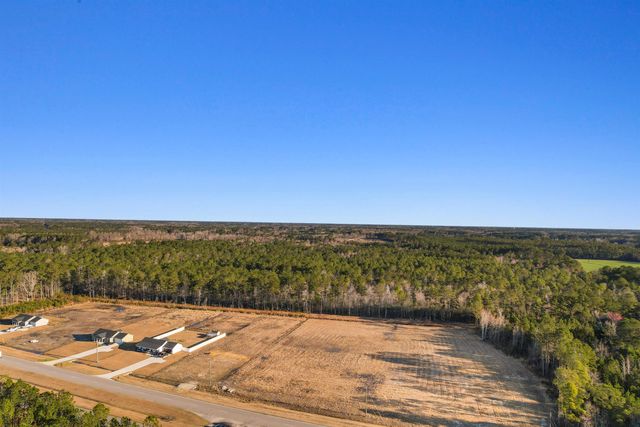 TBD Hwy 9, Loris, SC 29569