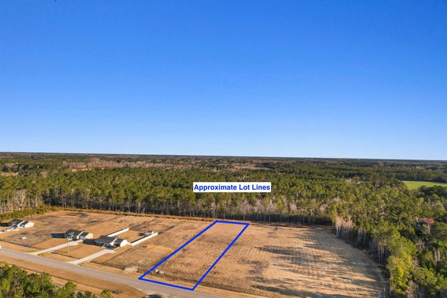 TBD Hwy 9, Loris, SC 29569