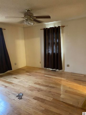 1250 Carter Road, Mayfield, KY 42066