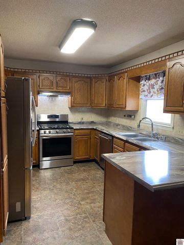 1250 Carter Road, Mayfield, KY 42066