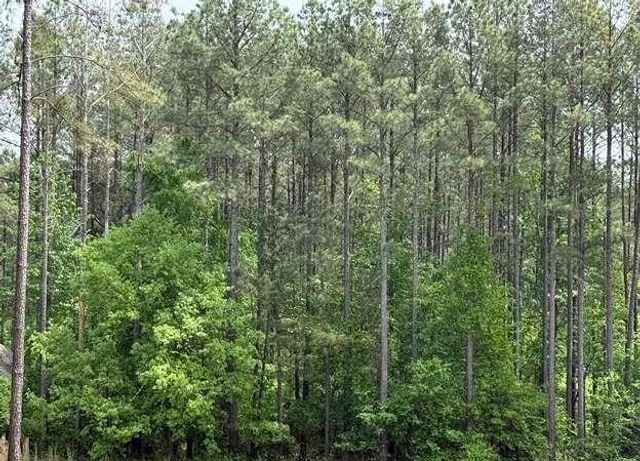 30 Mattie Court, Mansfield, GA 30055