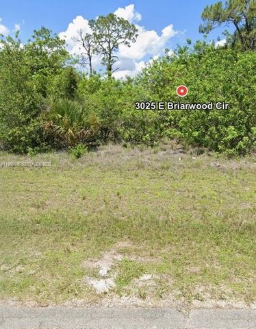 3025 E BRIARWOOD CIR, La Belle, FL 33935