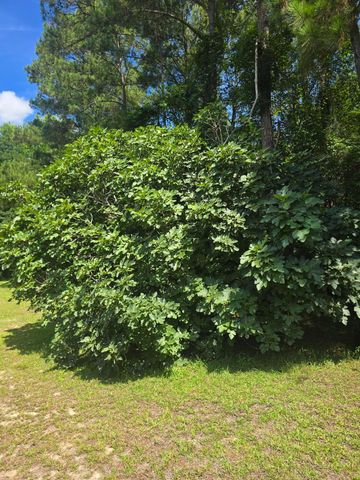 2850 N Main Street, Sumter, SC 29153