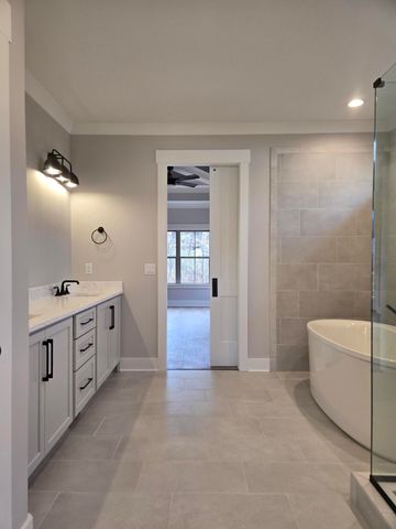 10586 Brownspring Drive 113, Apison, TN 37302