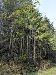 9999 Lone Tree Drive, Sequim, WA 98382