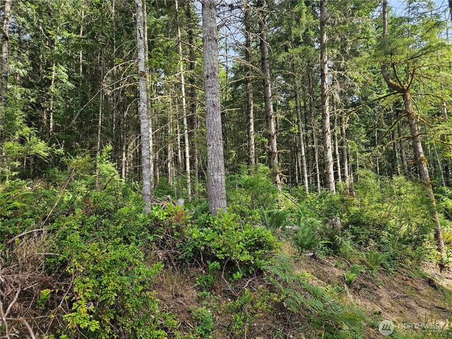 0 NKA L Lee Valley Road, Quilcene, WA 98376
