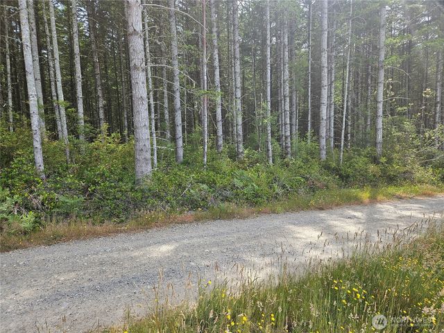 0 NKA L Lee Valley Road, Quilcene, WA 98376