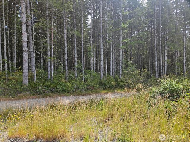 0 NKA L Lee Valley Road, Quilcene, WA 98376