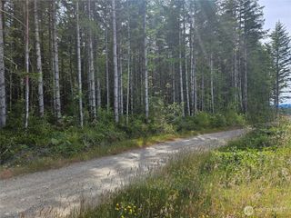 0 NKA L Lee Valley Road, Quilcene, WA 98376