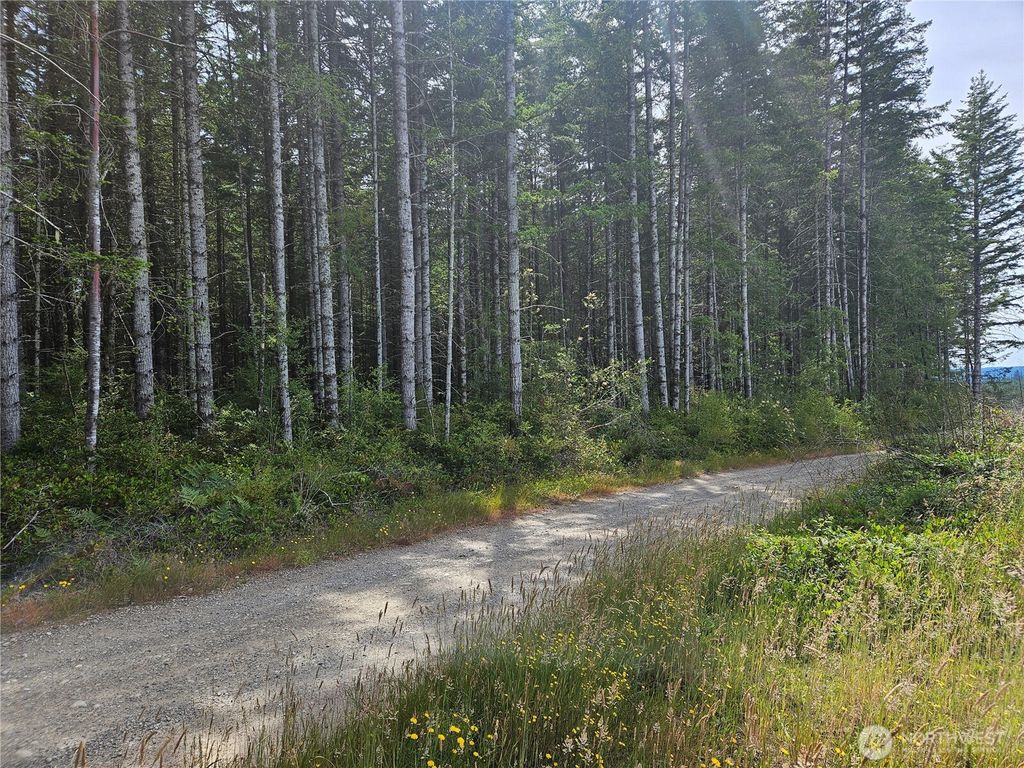 0 NKA L Lee Valley Road, Quilcene, WA 98376
