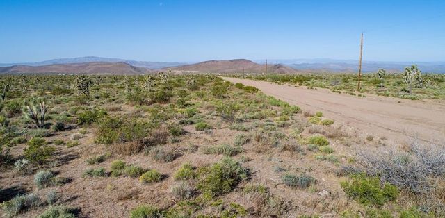 8674 W Mc Grath Drive, White Hills, AZ 86445