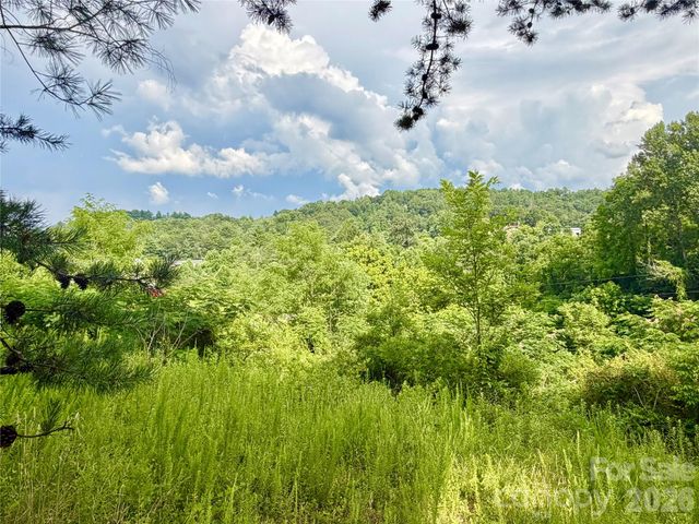 100 Sprouse Town Road, Weaverville, NC 28787