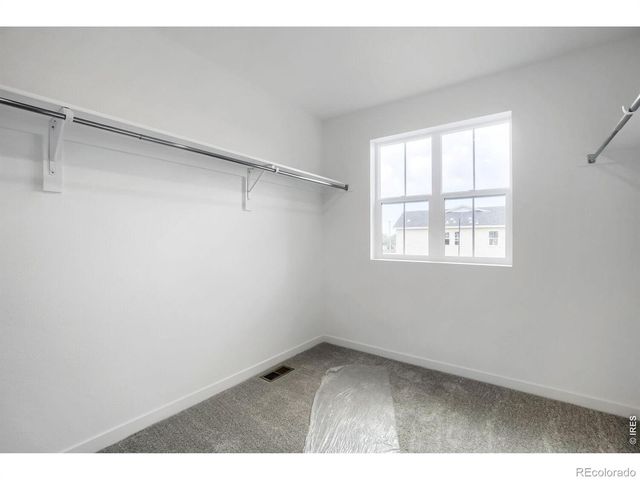 1944 Crested Lark Street, Fort Collins, CO 80528