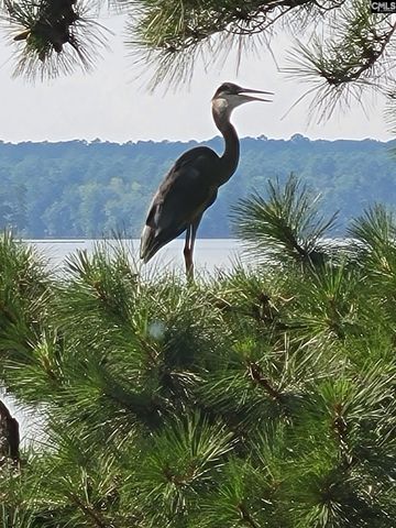 1366 Camping Road, Gilbert, SC 29054