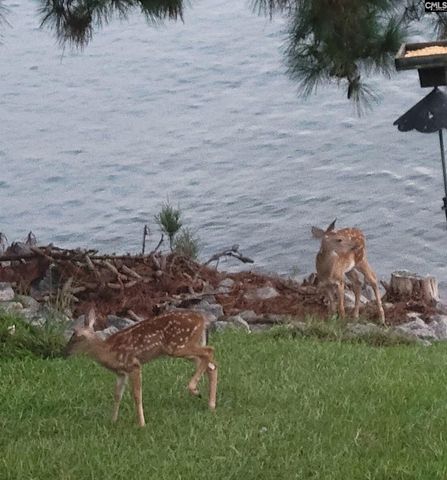 1366 Camping Road, Gilbert, SC 29054