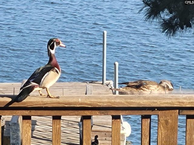 1366 Camping Road, Gilbert, SC 29054