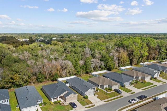 979 PEARLY RIDGE LANE, Lakeland, FL 33809