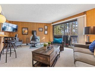 1140 Ski Hill Rd 25, Breckenridge, CO 80424