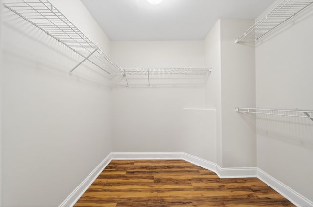 126 Noel Cove Circle, Hermitage, TN 37076