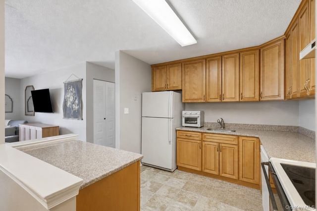 33 Moore Lane 15, Washingtonville, NY 10992