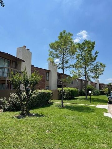 9101 Country Creek Drive 306, Houston, TX 77036