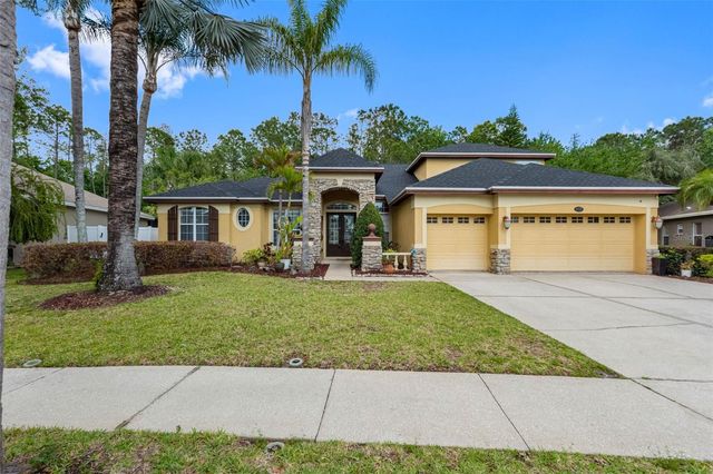 16750 IVY LAKE DRIVE, Odessa, FL 33556