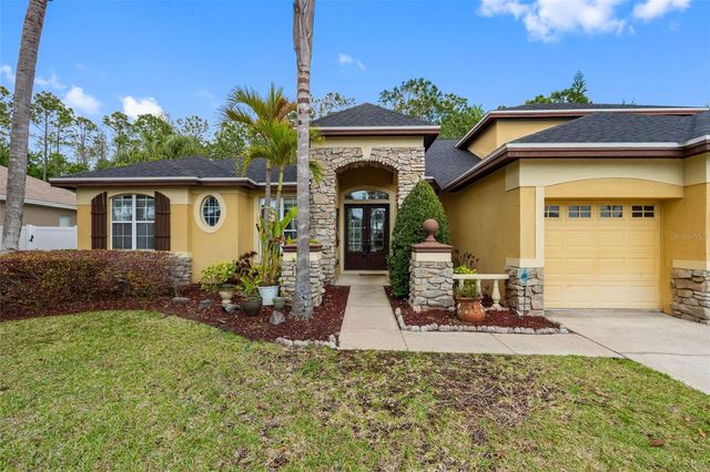 16750 IVY LAKE DRIVE, Odessa, FL 33556