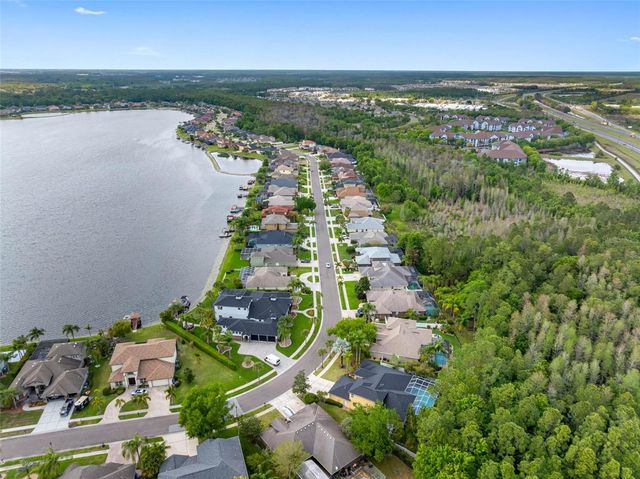 16750 IVY LAKE DRIVE, Odessa, FL 33556