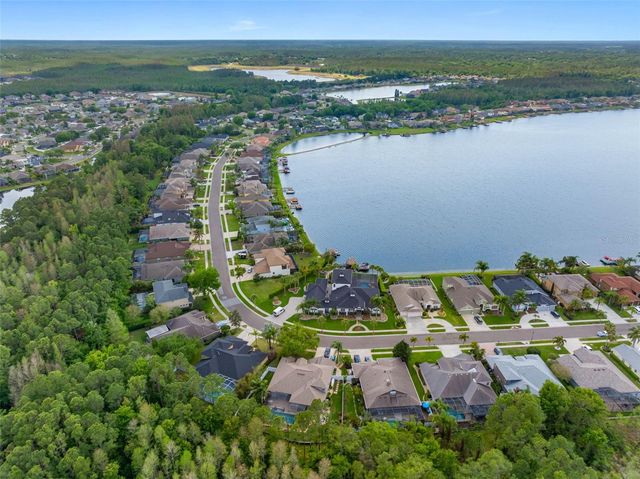16750 IVY LAKE DRIVE, Odessa, FL 33556