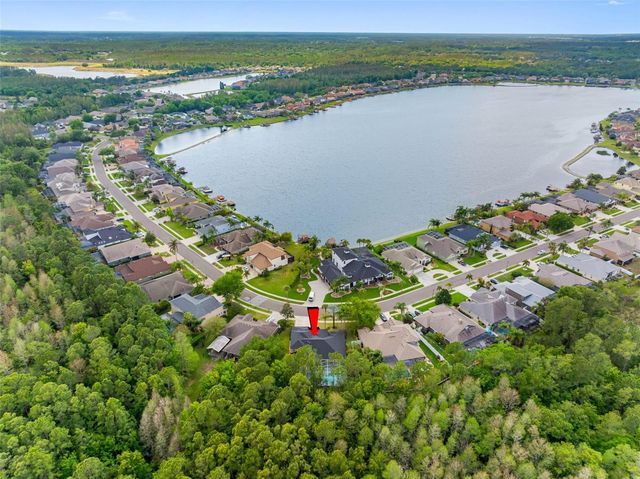 16750 IVY LAKE DRIVE, Odessa, FL 33556