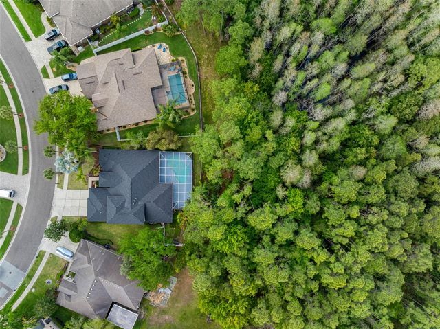 16750 IVY LAKE DRIVE, Odessa, FL 33556
