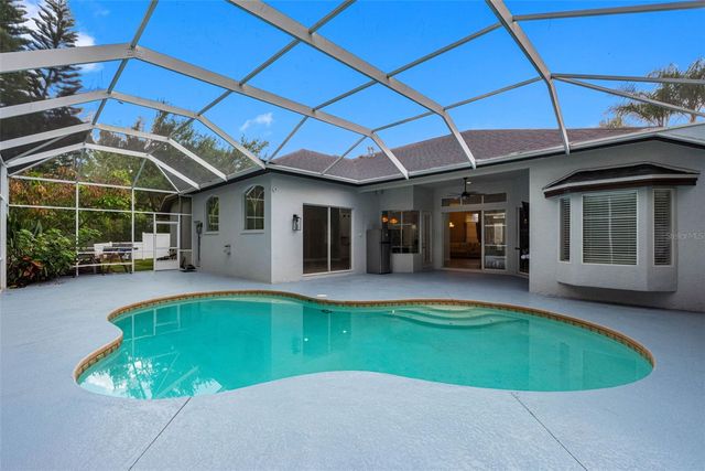 16750 IVY LAKE DRIVE, Odessa, FL 33556