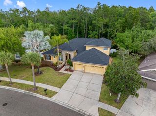 16750 IVY LAKE DRIVE, Odessa, FL 33556